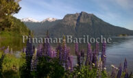 2a37a-costa-lago-alquiler-Bariloche.