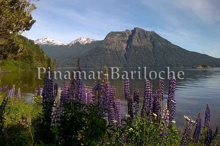 2a37a-costa-lago-alquiler-Bariloche.